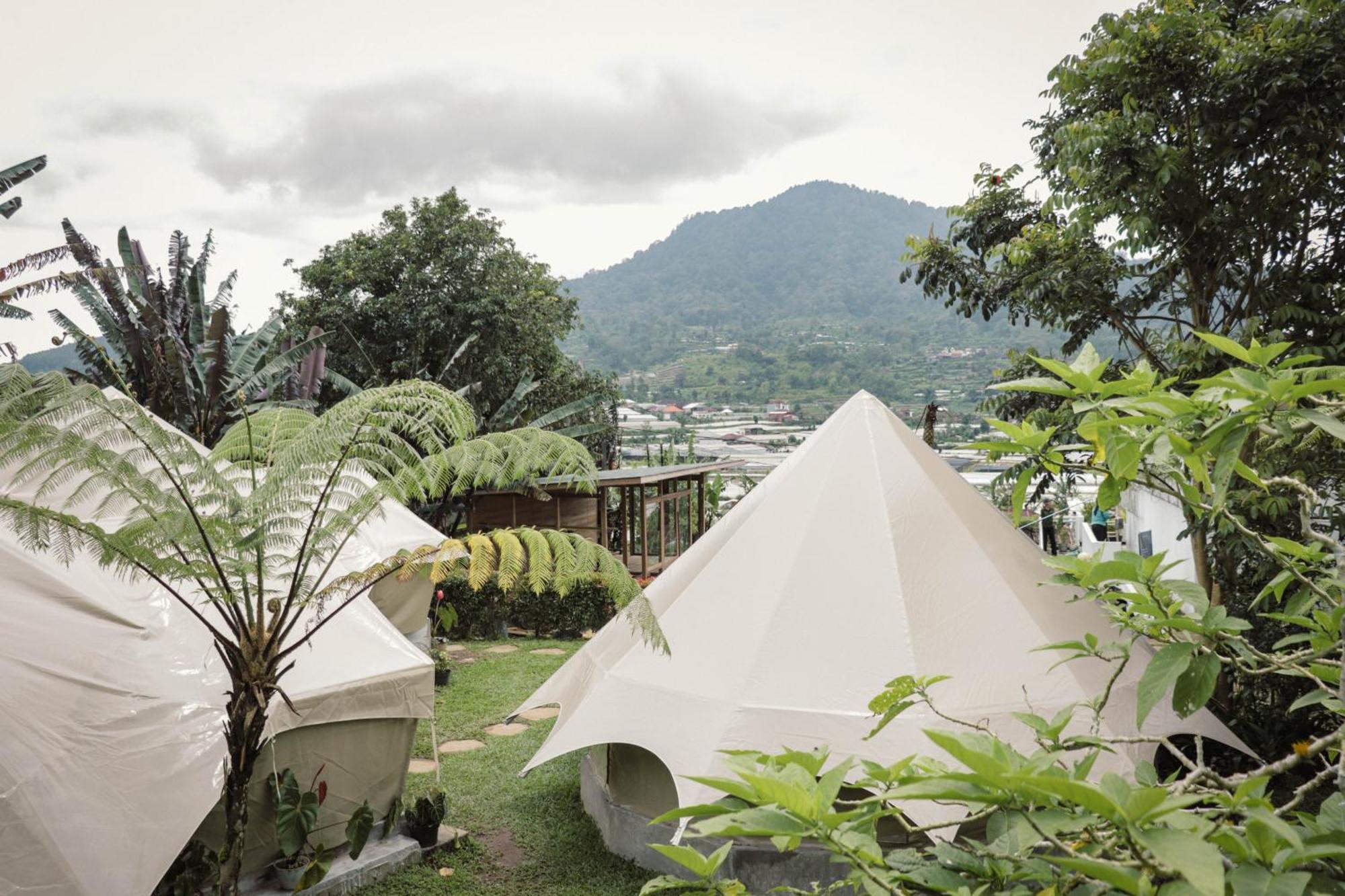 Alamu Eco Lodge Bedugul  Exterior foto