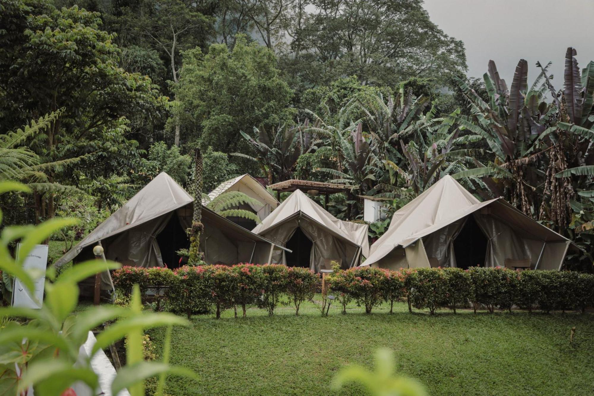 Alamu Eco Lodge Bedugul  Exterior foto