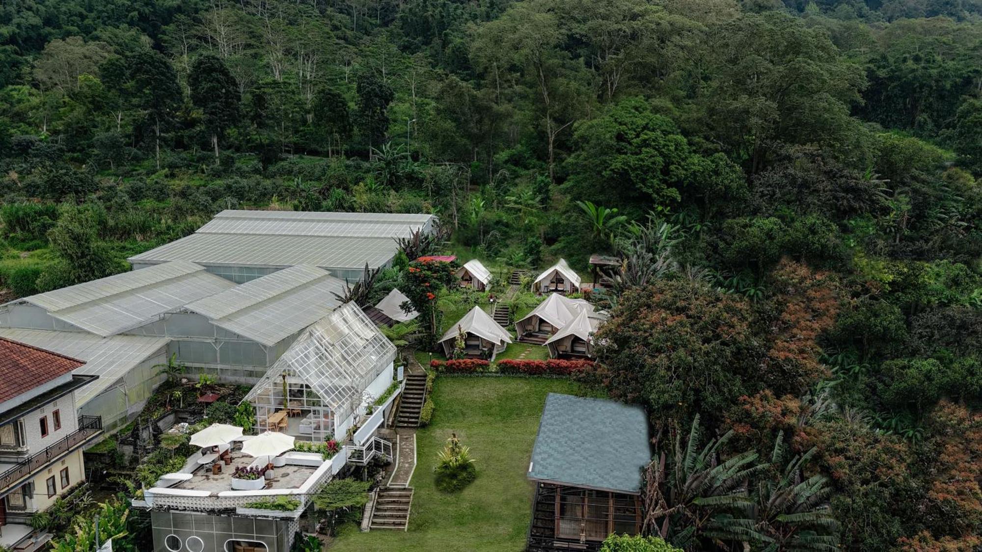 Alamu Eco Lodge Bedugul  Exterior foto