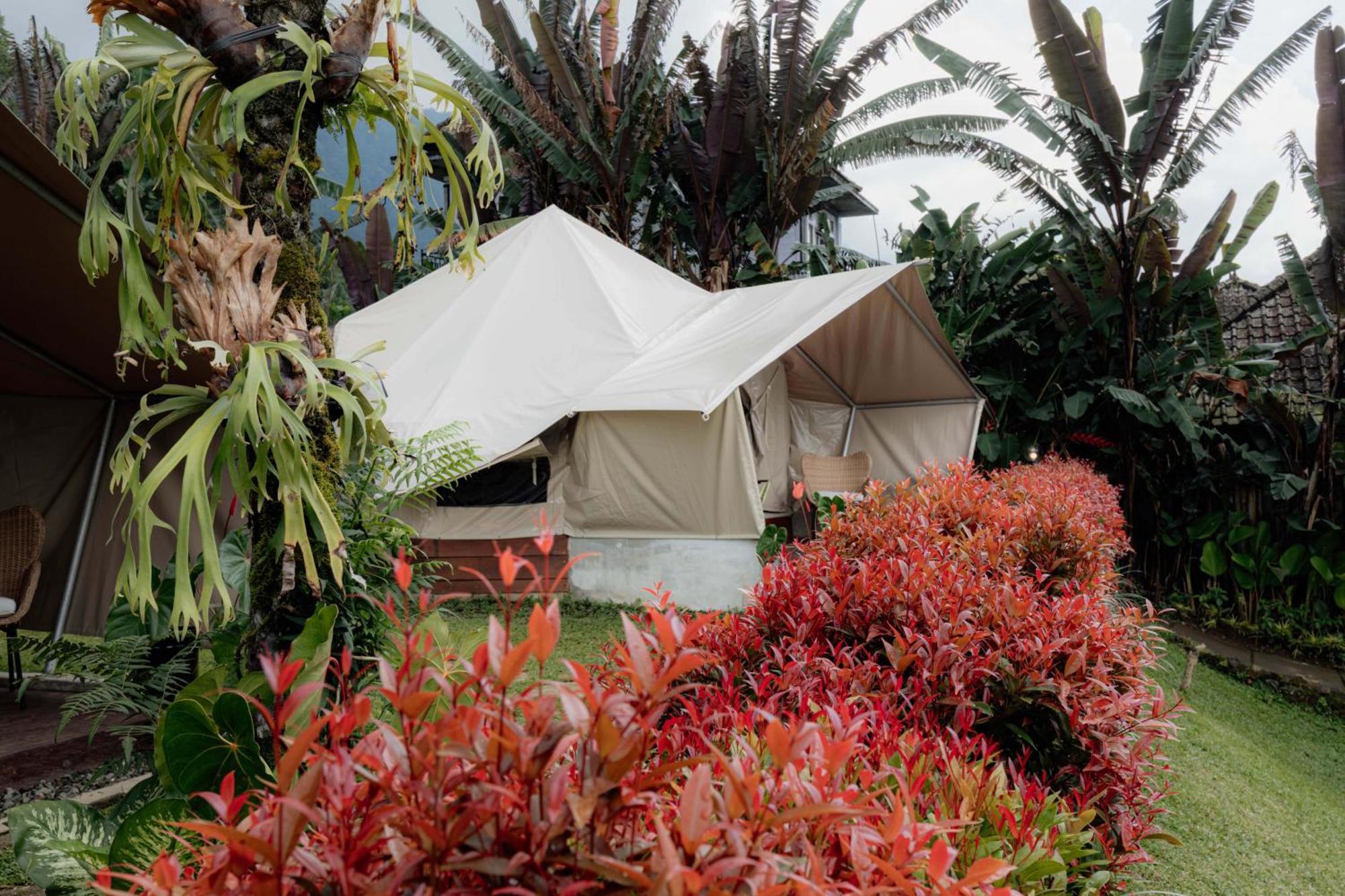 Alamu Eco Lodge Bedugul  Exterior foto